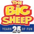 The BIG Sheep Discount Code