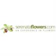 Serenata Flowers Discount Code