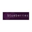 Blueberries Discount Code